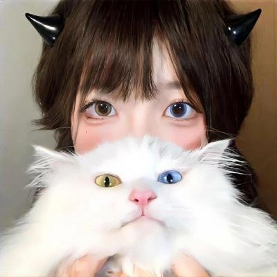 绝命线索 在线观看